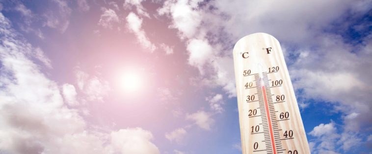 Thermometer in der prallen Sonne zeigt 40 Grad Celsius