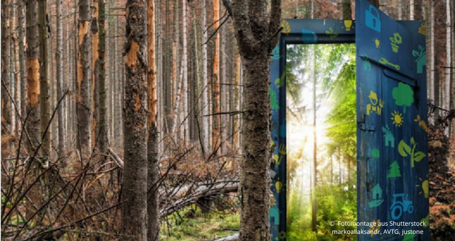 Titelbild Kompass Klima