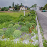 Niederösterreich: Mit Ökostraßen am richtigen Weg