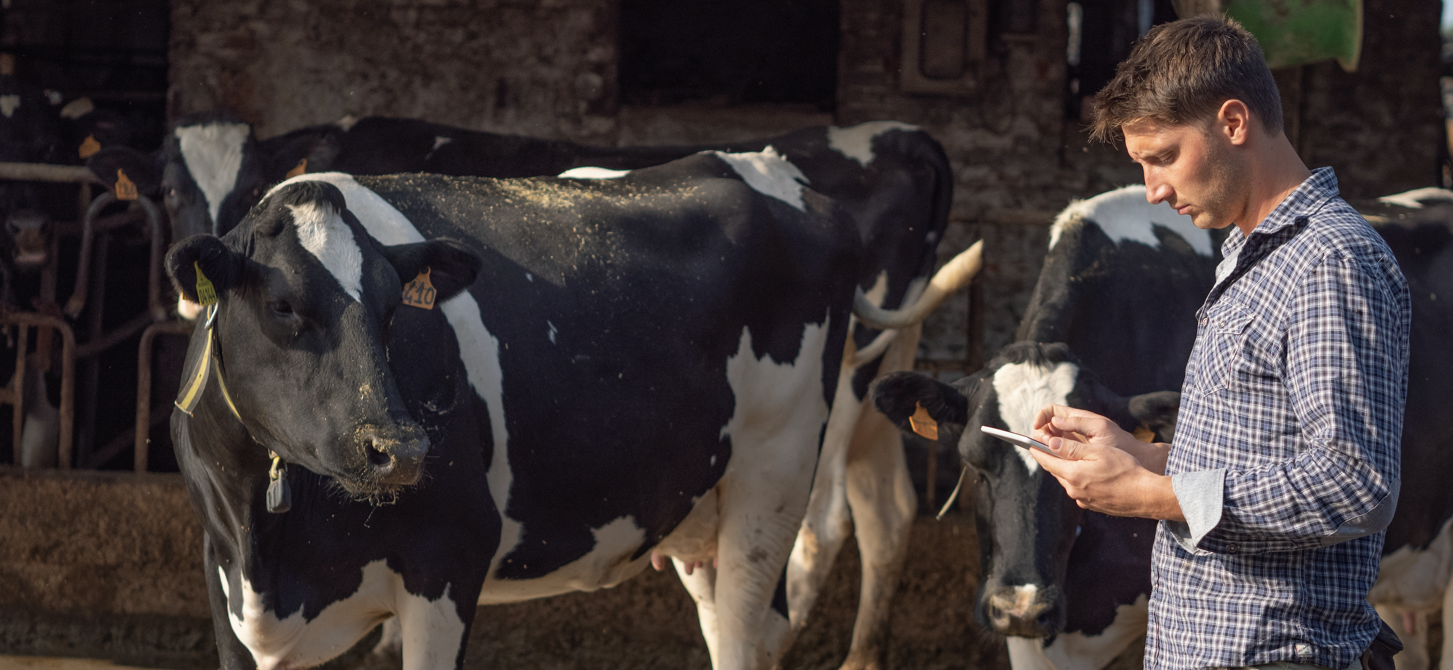 Factsheet (April 2021): UNTER DER LUPE: LAND- UND FORSTWIRTSCHAFT VON HEUTE