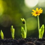 Workshop – Diskurs über die land- und forstwirtschaftliche Kreislaufwirtschaft