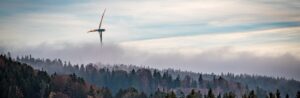 Viel Wind um den Wald