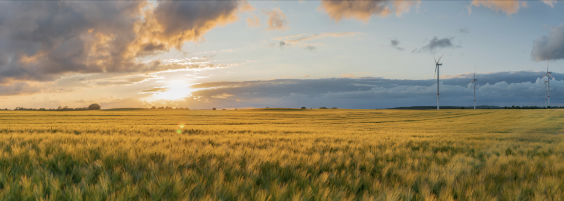 Feld mit Windrad und Sonnenuntergang