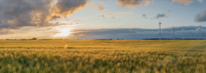 Feld mit Windrad und Sonnenuntergang