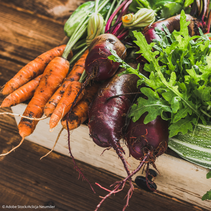 Wintertagung. Fachtag Obst-, Gem&uuml;se- und Gartenbau. (c)_Adobe Stock/Alicja Neumiler