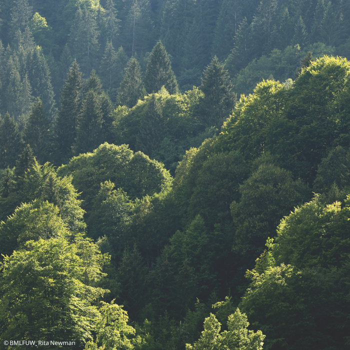 Wintertagung. Fachtag Waldwirtschaft. (c)_BMLFUW/Rita Newman