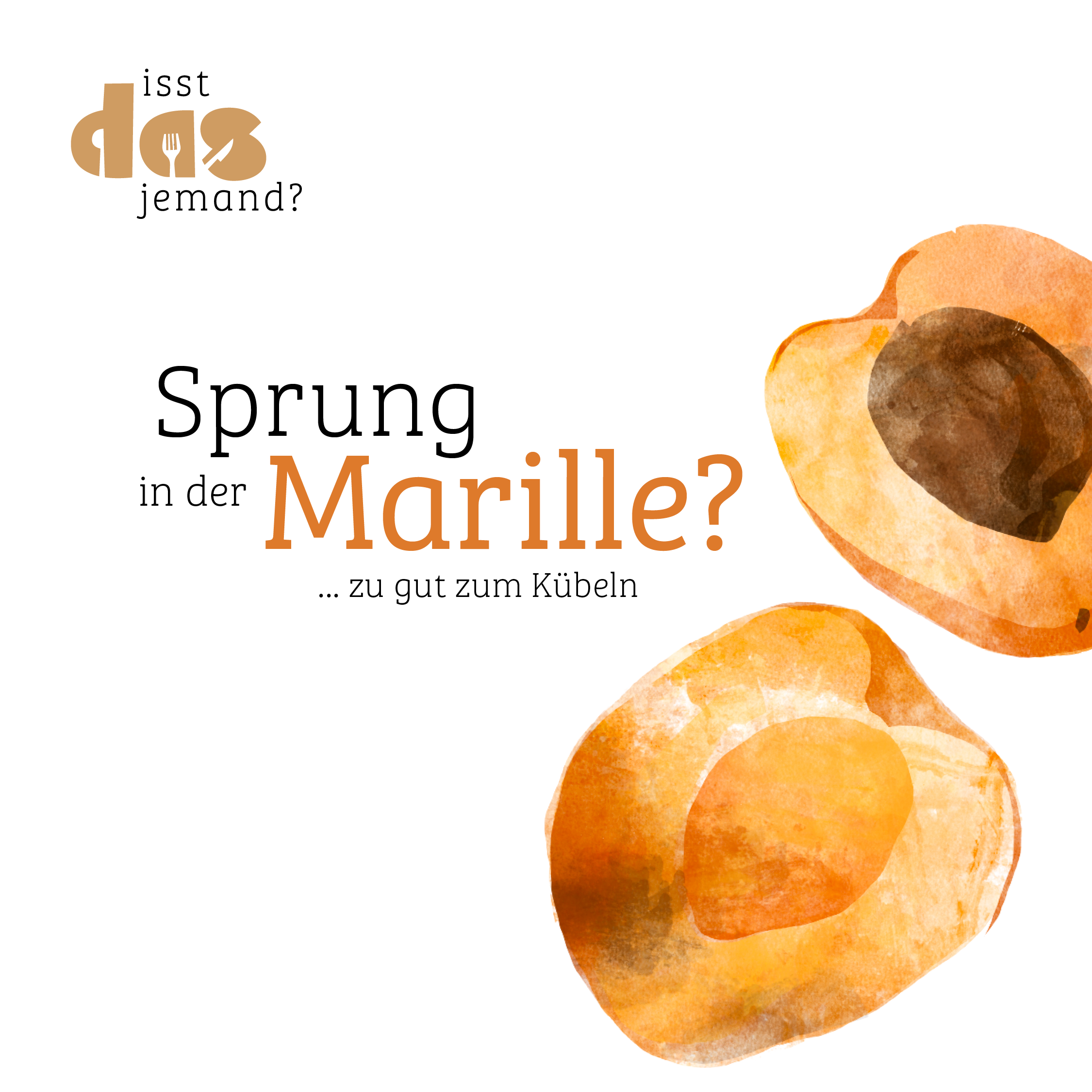 Projekt Isst das jemand? Gemeinsam gegen Lebensmittelverschwendung!; Sprung in der Marille?...zu gut zum K&uuml;beln; Marille