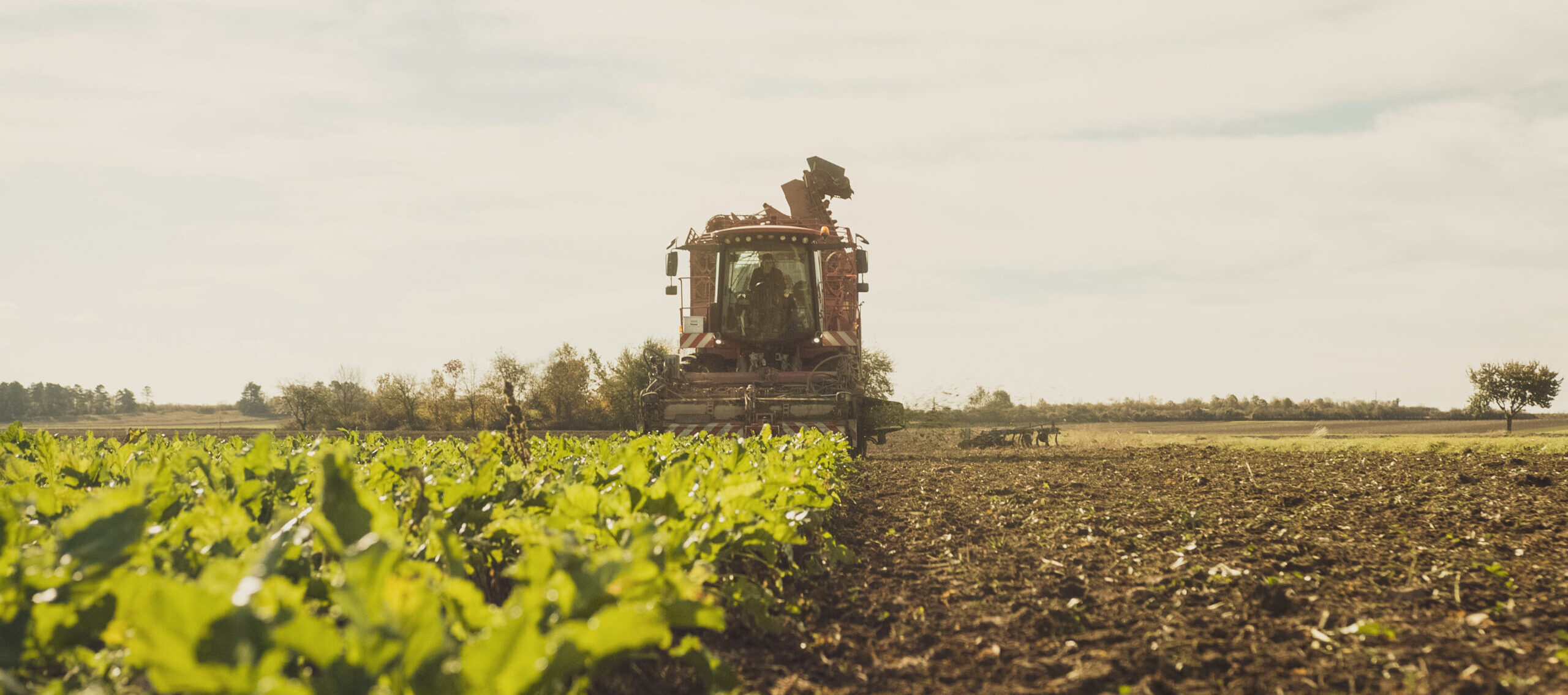 Faktensammlung (Dezember 2025): Vom Acker zum Teller – und darüber hinaus