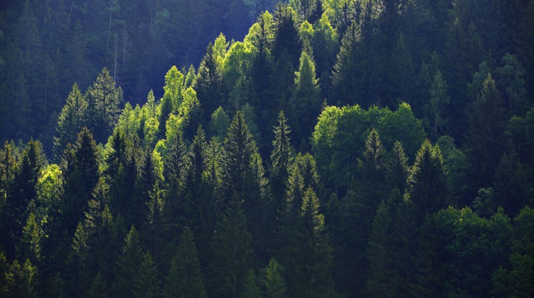 Berglandschaft Goefnitz_(c)BMLUK/Alexander Haiden