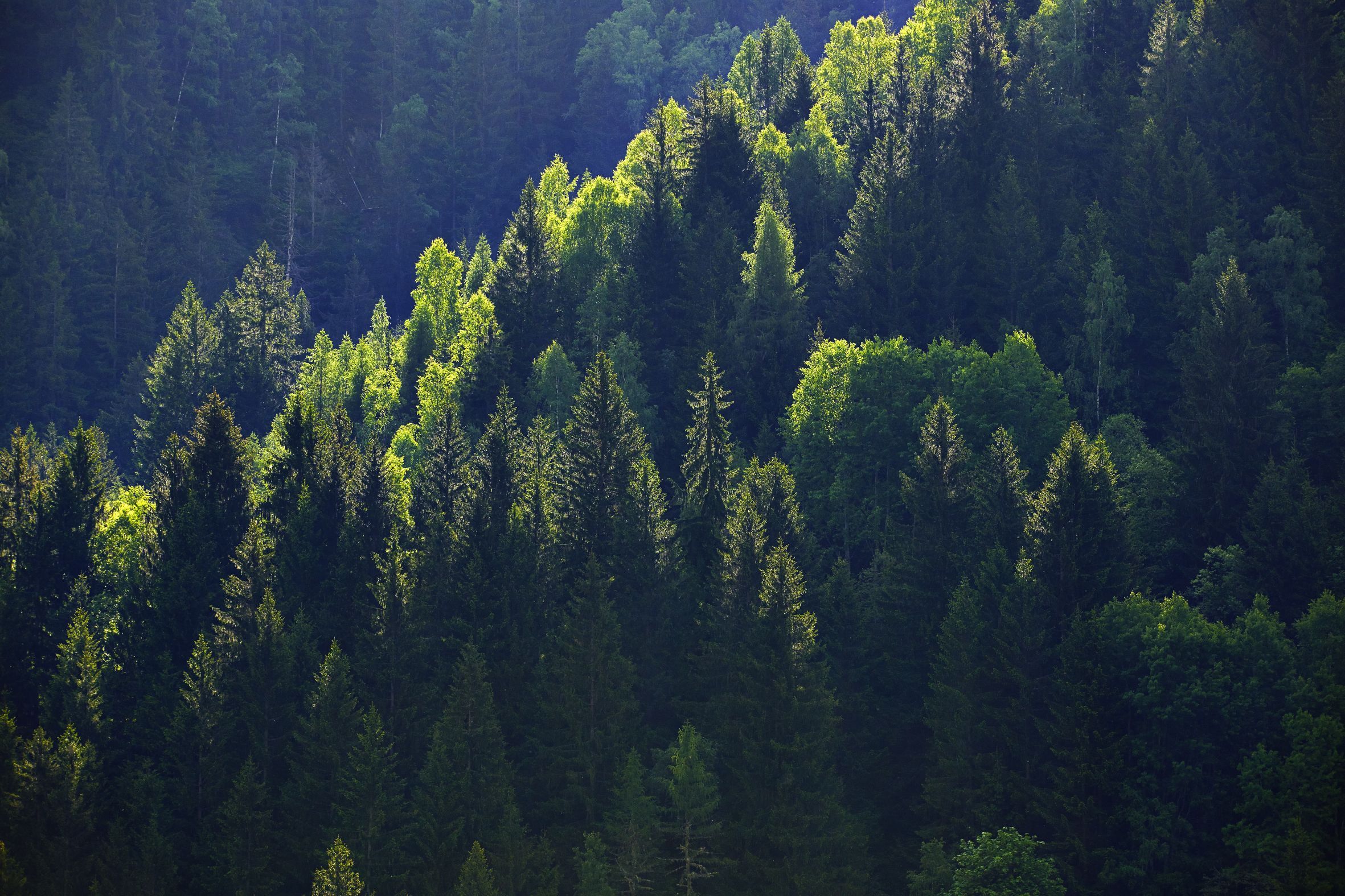 Berglandschaft Goefnitz_(c)BMLUK/Alexander Haiden