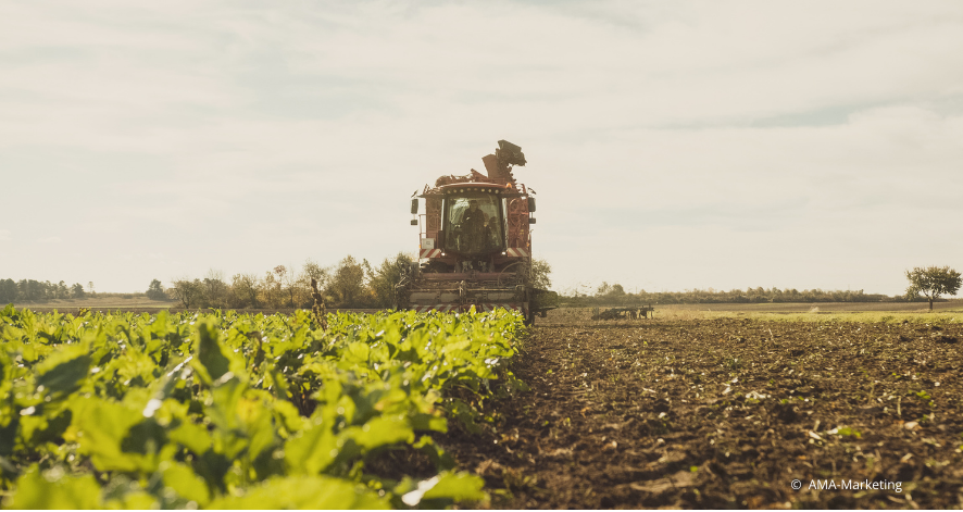 Faktensammlung 2025-2 Alt-Text: Landwirtschaftliche Erntemaschine auf einem Feld bei Tageslicht, aufgenommen aus niedriger Perspektive. Im Vordergrund sind grüne Pflanzen zu sehen, rechts frisch bearbeitete Erde, während die Maschine mittig im Hintergrund unter einem hellen, leicht bewölkten Himmel fährt. (c) AMA-Marketing