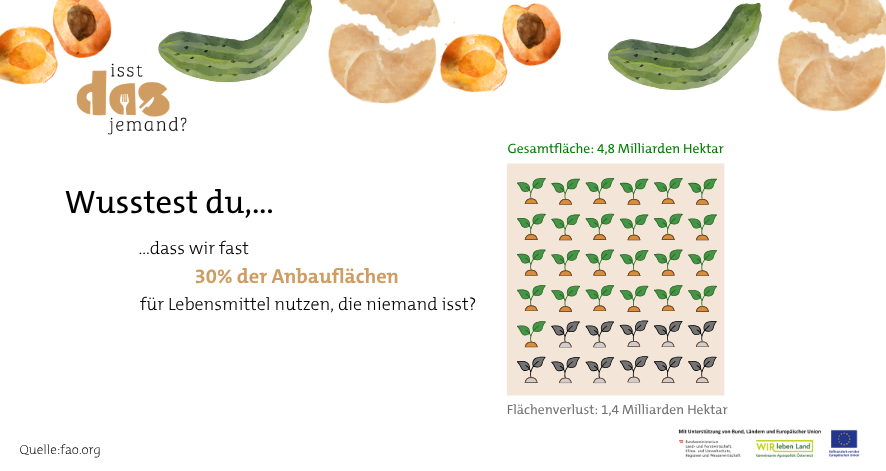 Infografik zeigt, dass etwa 30 % der Anbaufl&auml;chen f&uuml;r Lebensmittel genutzt werden, die nicht gegessen werden.