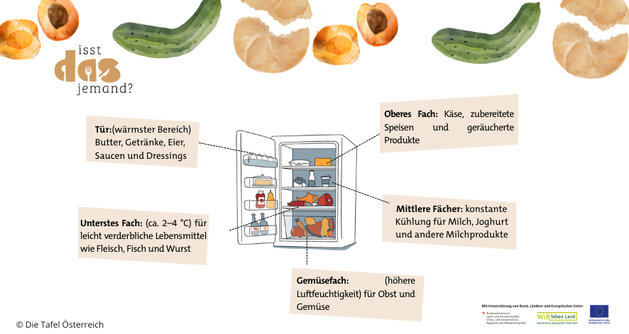 Lebensmittelrettung beginnt im eigenen K&uuml;hlschrank