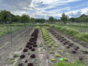 Europäischer Erfahrungsaustausch für nachhaltige Ernährungssysteme