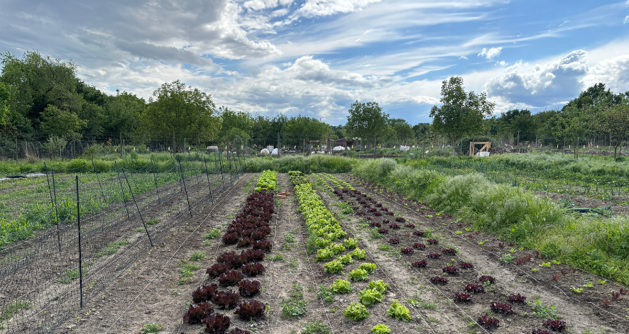 Europ&auml;ischer Erfahrungsaustausch f&uuml;r nachhaltige Ern&auml;hrungssysteme