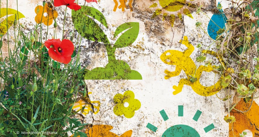 Mauer mit Symbolen und Bewuchs