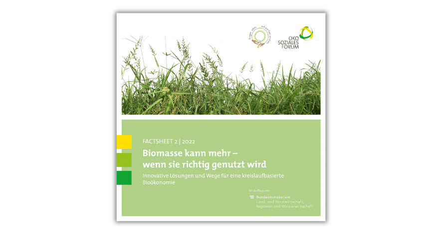 Biomasse kann mehr
