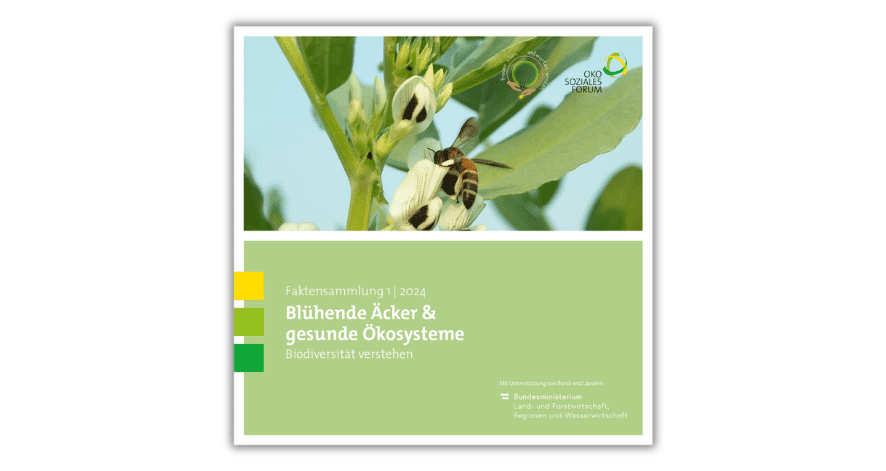 Bl&uuml;hende &Auml;cker & gesunde &Ouml;kosysteme &ndash; &Ouml;kosysteme verstehen